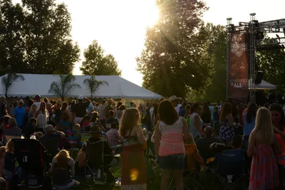 DSC_2340 (Large).JPG